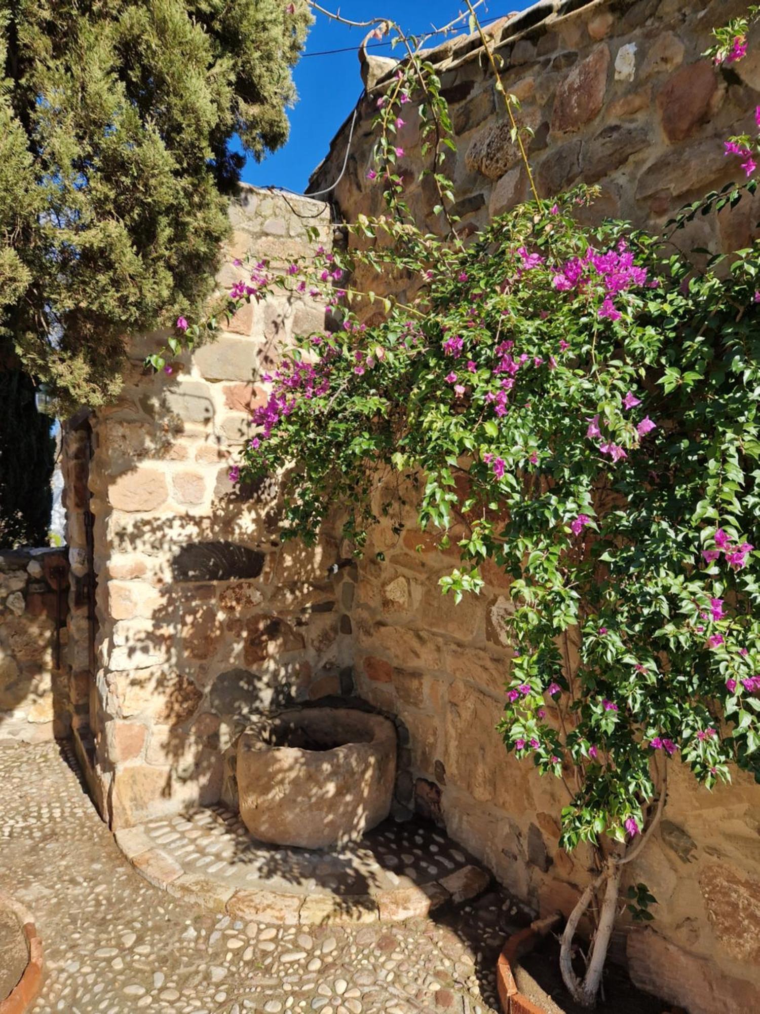 Colonos Alojamientos Rurales Guarromán Εξωτερικό φωτογραφία