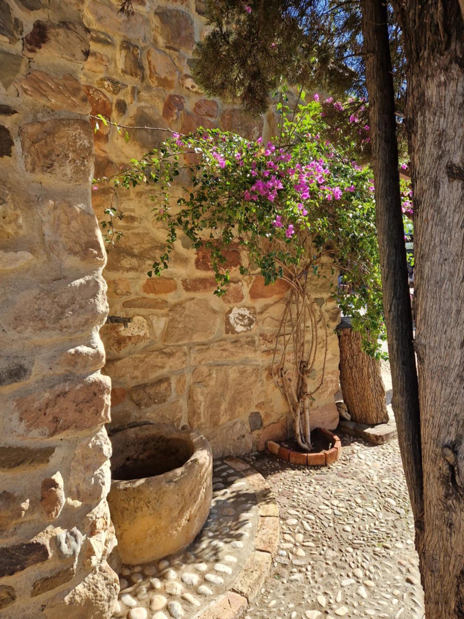 Colonos Alojamientos Rurales Guarromán Εξωτερικό φωτογραφία